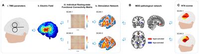 Personalized connectivity-based network targeting model of transcranial magnetic stimulation for treatment of psychiatric disorders: computational feasibility and reproducibility